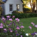 The Old School House