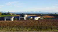 Marama Vineyard