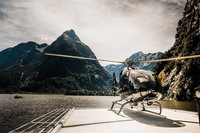 Fiordland Discovery