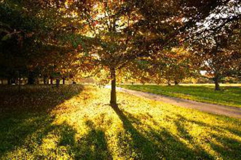 Kiwi Group Accommodation Gloucester - Accommodation New Zealand 2